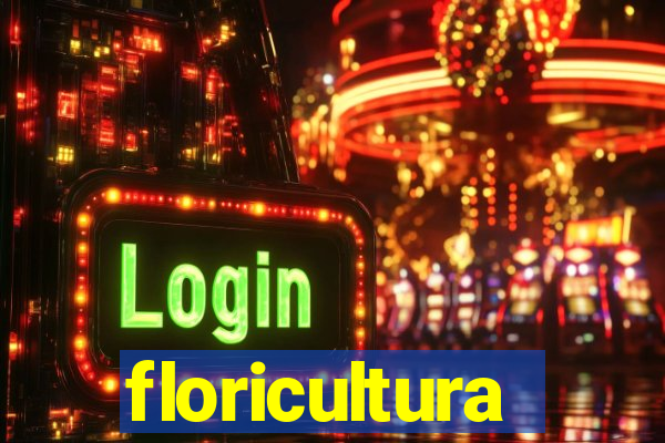floricultura juazeiro bahia