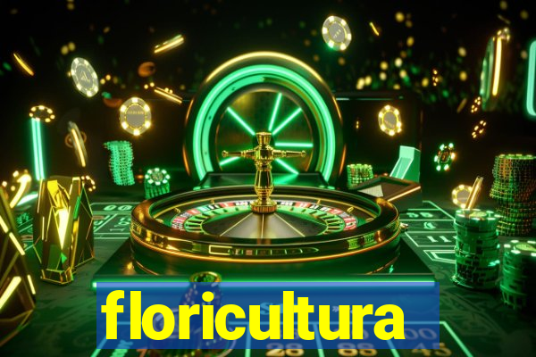 floricultura juazeiro bahia