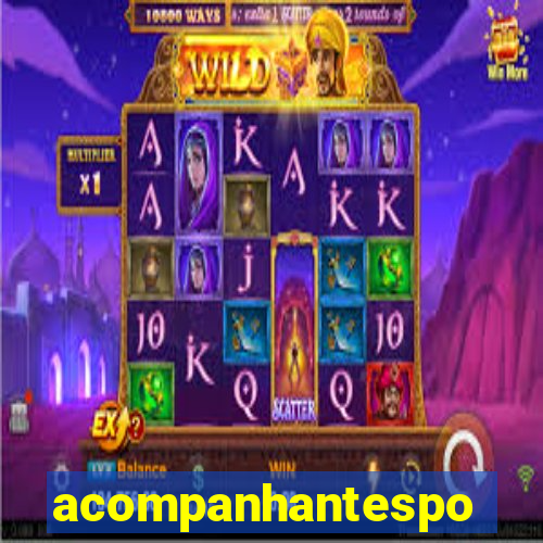 acompanhantesportovelho