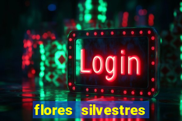 flores silvestres desbravadores desbravadores 25