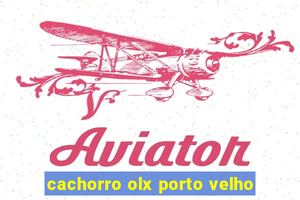 cachorro olx porto velho