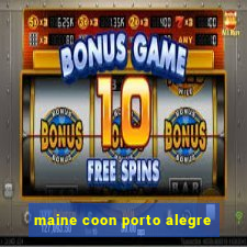 maine coon porto alegre