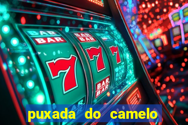 puxada do camelo no jogo do bicho