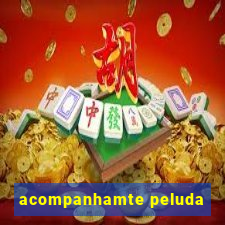 acompanhamte peluda