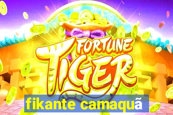 fikante camaquã