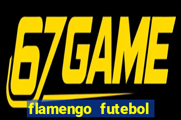 flamengo futebol play hd
