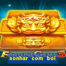 sonhar com boi jogo do bicho