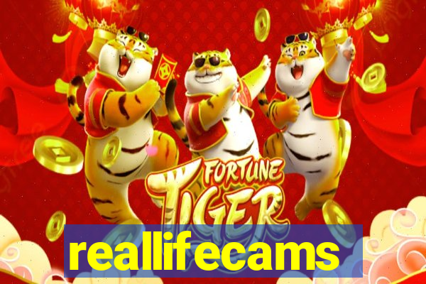 reallifecams