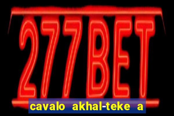 cavalo akhal-teke a venda no brasil cavalo akhal teke no