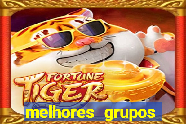 melhores grupos telegram +18