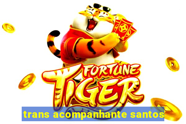 trans acompanhante santos