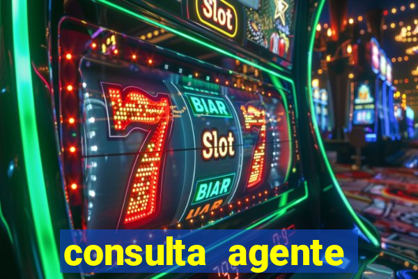 consulta agente autuador sp