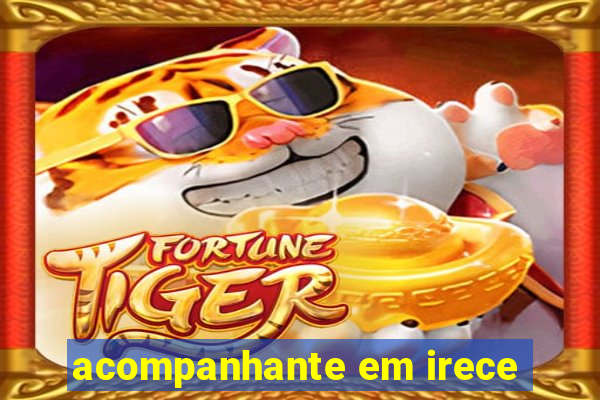 acompanhante em irece