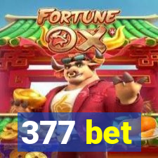 377 bet