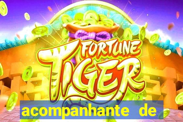 acompanhante de porto velho