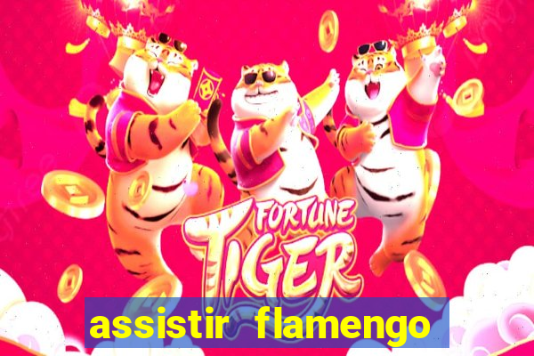 assistir flamengo futebol play hd