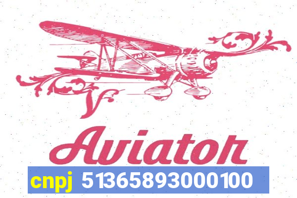 cnpj 51365893000100