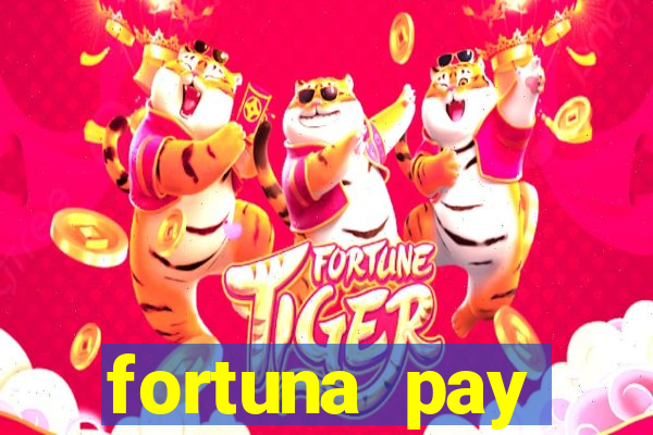 fortuna pay consultoria financeira ltda