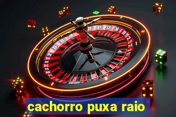 cachorro puxa raio