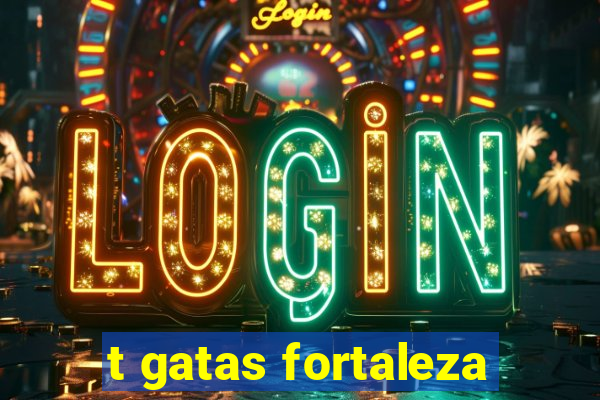 t gatas fortaleza