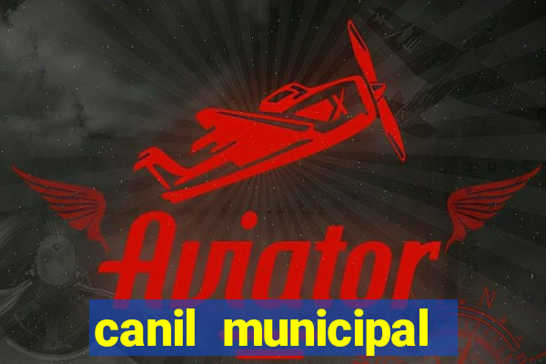canil municipal porto alegre