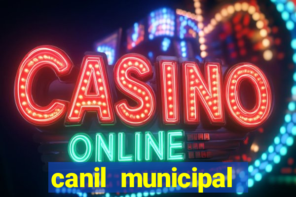 canil municipal porto alegre