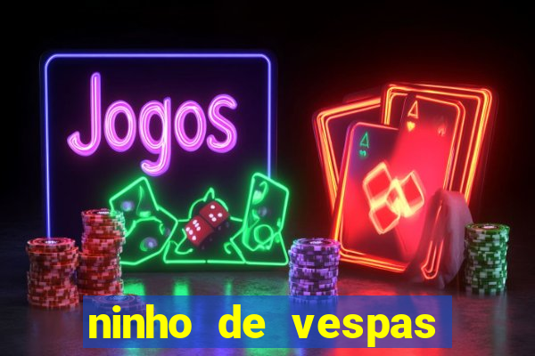 ninho de vespas significado espiritual
