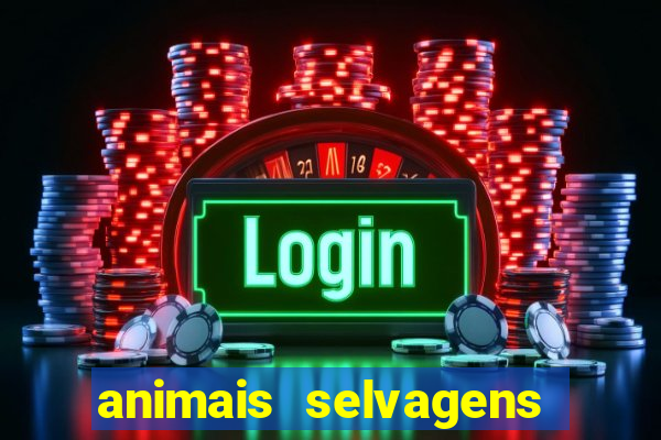 animais selvagens fotos e nomes