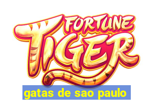 gatas de sao paulo