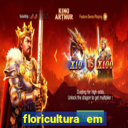 floricultura em franca sp