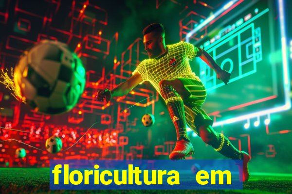 floricultura em franca sp