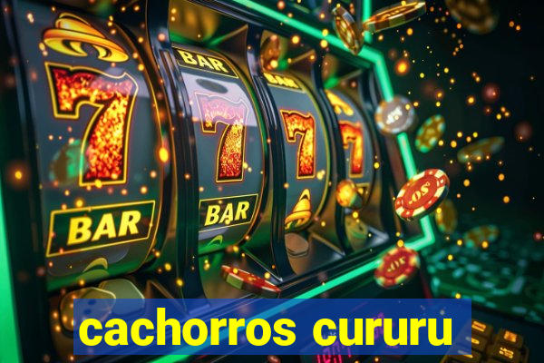 cachorros cururu