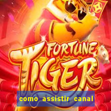 como assistir canal viva de graça