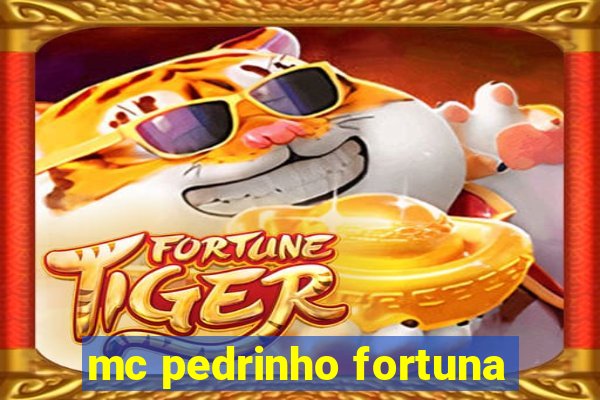 mc pedrinho fortuna