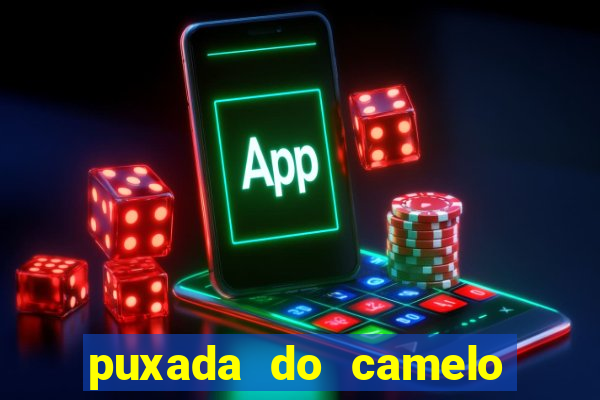 puxada do camelo jogo do bicho