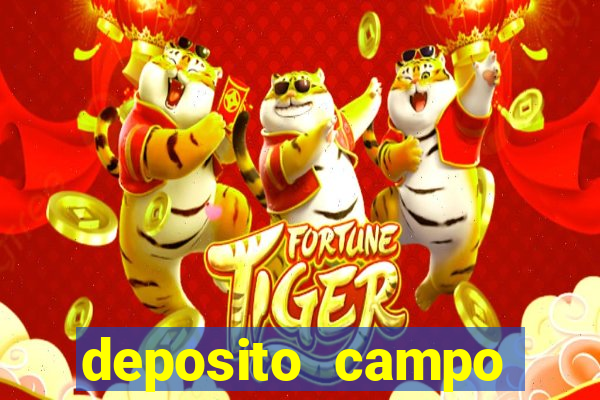 deposito campo grande santos