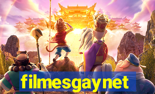 filmesgaynet