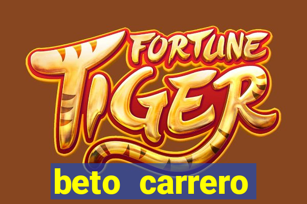 beto carrero cidades proximas