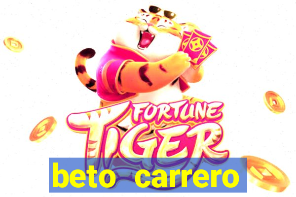 beto carrero cidades proximas