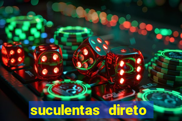 suculentas direto do produtor rs