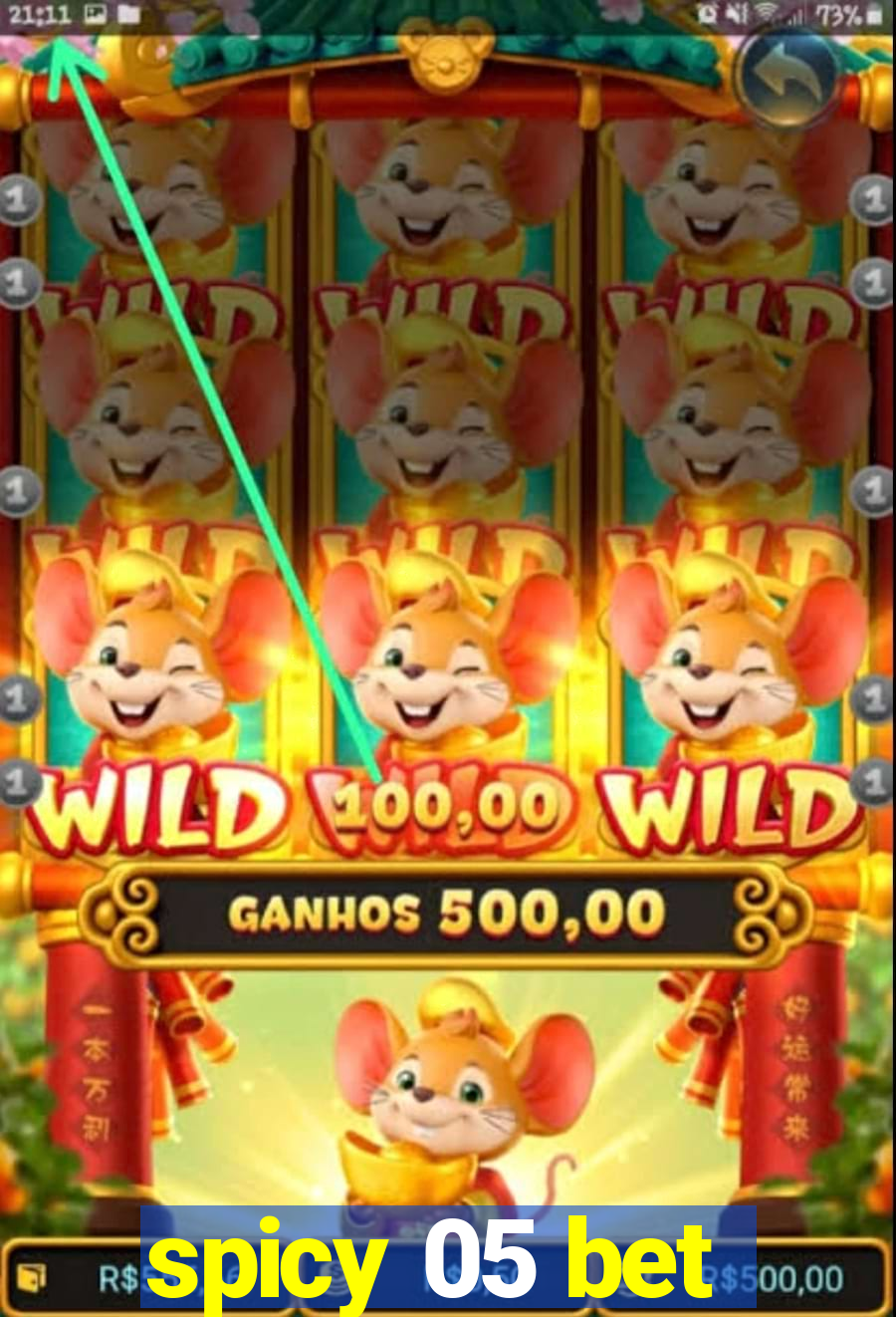 spicy 05 bet