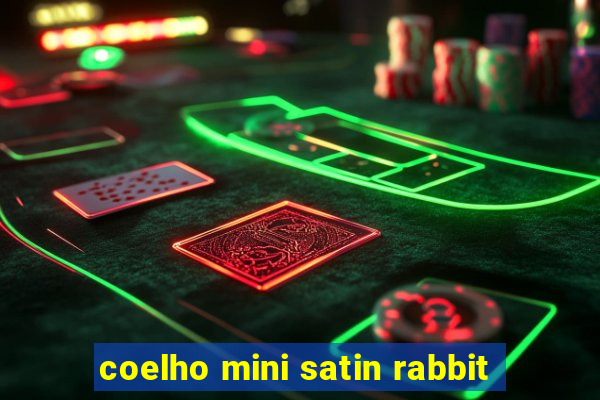coelho mini satin rabbit