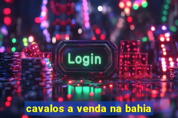 cavalos a venda na bahia