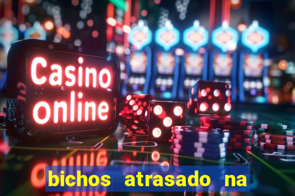 bichos atrasado na loteria dos sonhos