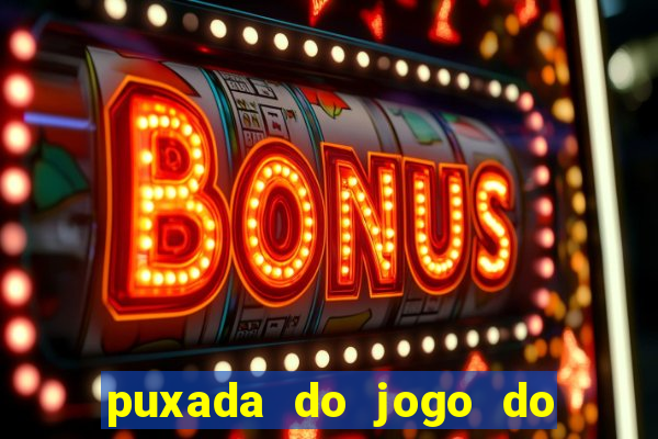 puxada do jogo do bicho da sueli