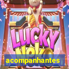 acompanhantes chamadas de video