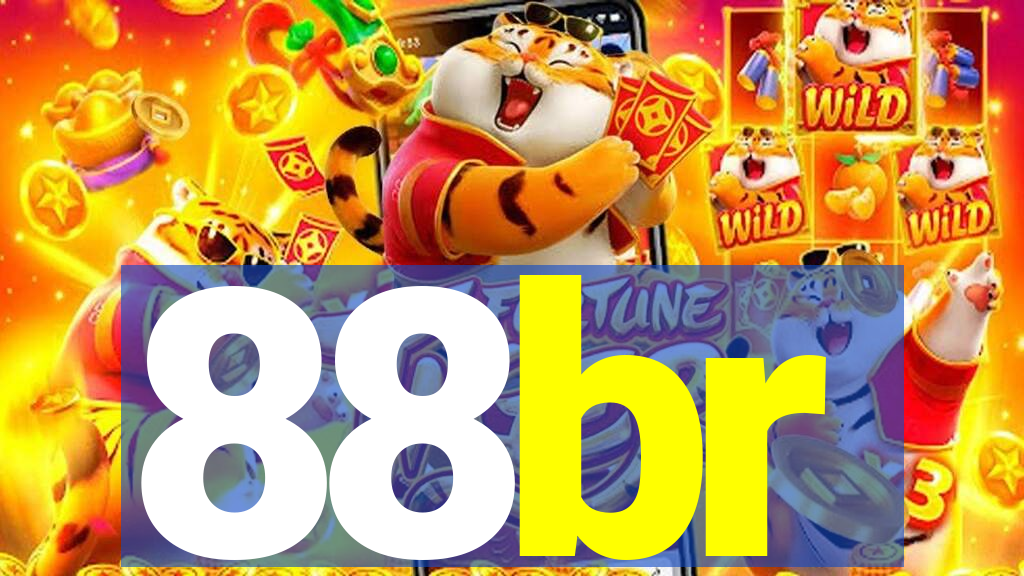 88br