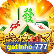 gatinho 777
