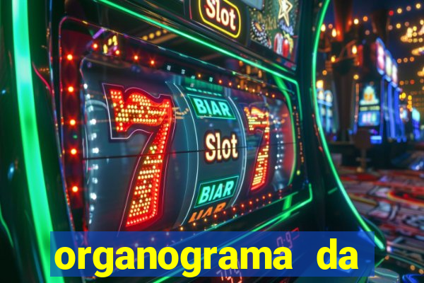 organograma da cacau show