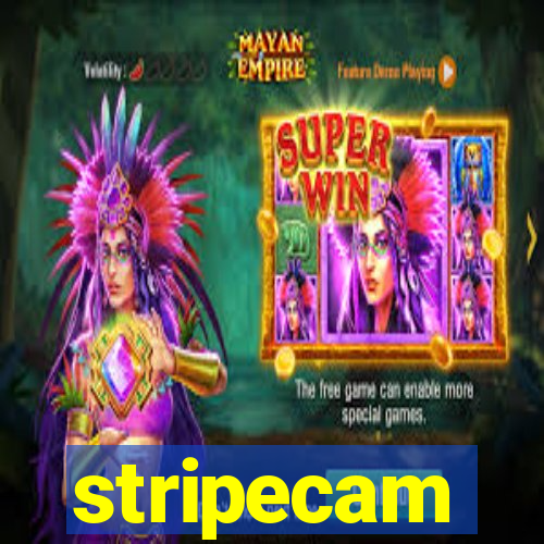 stripecam